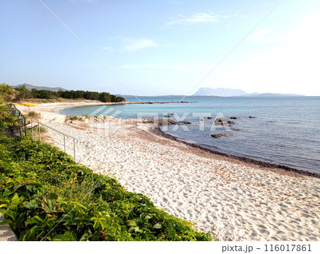 Beautiful beach in Sardinia. View of the blue sea. 116017861