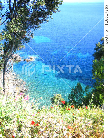 Beautiful sea. Island Elba in Italy. Bright background with view sea. 116017865