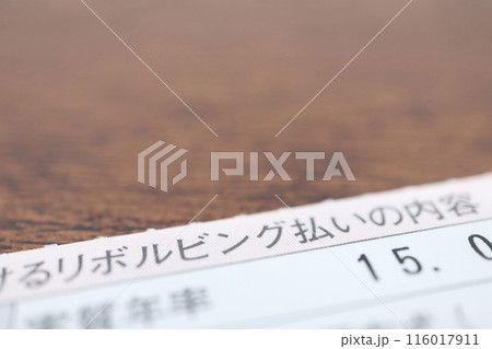 リボ払いに関する書類 リボ払いに関する書類 116017911