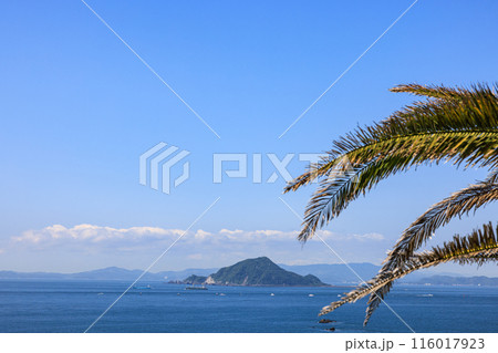 伊良湖岬から見た神島 116017923