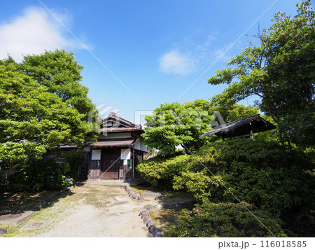 神奈川県横須賀市津久井浜の万代会館の初夏 神奈川県横須賀市津久井浜の万代会館の初夏 116018585
