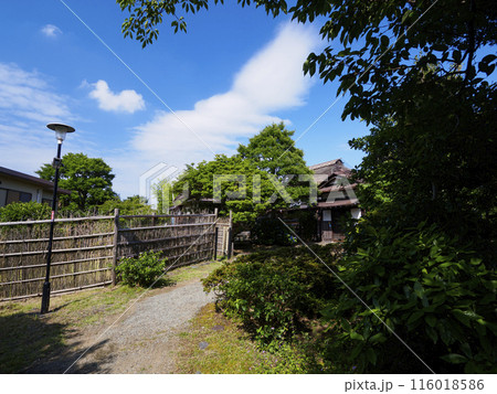 神奈川県横須賀市津久井浜の万代会館の初夏 116018586