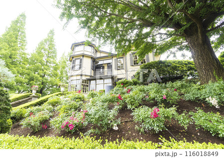 異国情緒のある山手西洋館のイタリア山庭園 異国情緒のある山手西洋館のイタリア山庭園 116018849