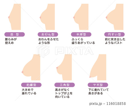 乳房の形　種類 116018858