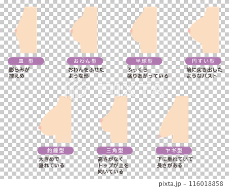乳房の形　種類 116018858