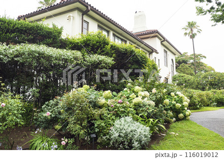 神奈川県横浜市中区港の見える公園の初夏 116019012