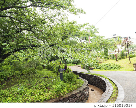 神奈川県横浜市中区港の見える公園の初夏 116019017