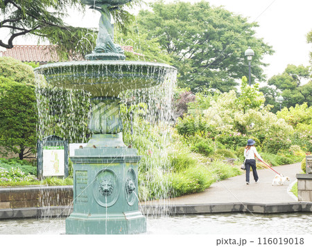 神奈川県横浜市中区港の見える公園の初夏 神奈川県横浜市中区港の見える公園の初夏 116019018