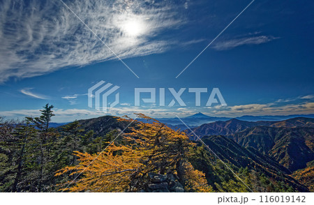 甲武信岳山頂のカラマツの黄葉と富士山の眺め 116019142