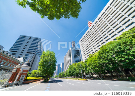 「東京都」桜田通り法務省旧本館前 千代田区 「東京都」桜田通り法務省旧本館前 千代田区 116019339