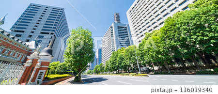「東京都」桜田通り法務省旧本館前 千代田区 「東京都」桜田通り法務省旧本館前 千代田区 116019340