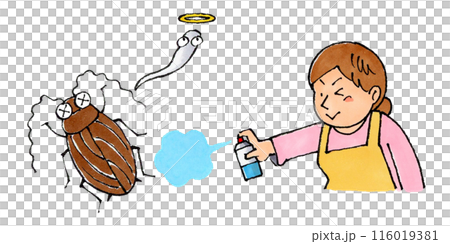 ゴキブリに殺虫剤を使う主婦 116019381