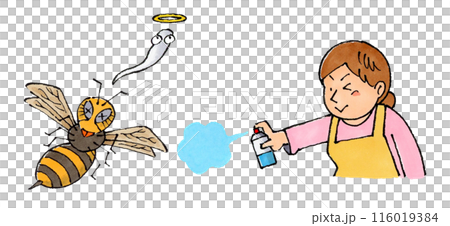 スズメバチに殺虫剤を使う主婦 スズメバチに殺虫剤を使う主婦 116019384
