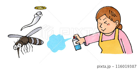 蚊に殺虫剤を使う主婦 蚊に殺虫剤を使う主婦 116019387