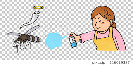 蚊に殺虫剤を使う主婦 蚊に殺虫剤を使う主婦 116019387