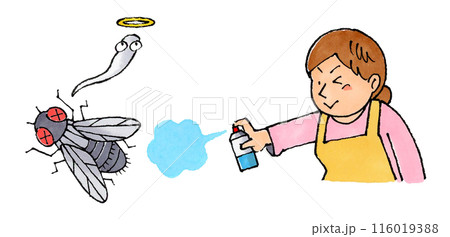 ハエに殺虫剤を使う主婦 116019388