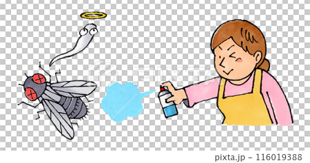A housewife uses insecticide on flies 116019388