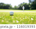 golf ball on green with background of golf player 116019393