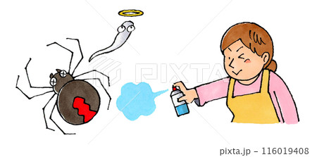 セアカゴケグモに殺虫剤を使う主婦 116019408