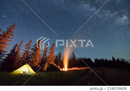 Night camping under sky full of stars and Milky way in the mountains. Starry sky over illuminated tourist tents on hills near forest. Warm light from campfire at dark night. 116019608