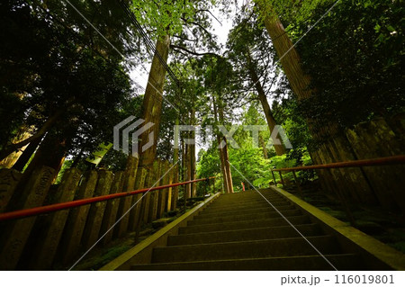 山陰、春、初夏の鳥取、三徳山、みとくさん、投げ入れ堂への登山、国立公園への旅、多くの指定文化財と国宝 山陰、春、初夏の鳥取、三徳山、みとくさん、投げ入れ堂への登山、国立公園への旅、多くの指定文化財と国宝 116019801