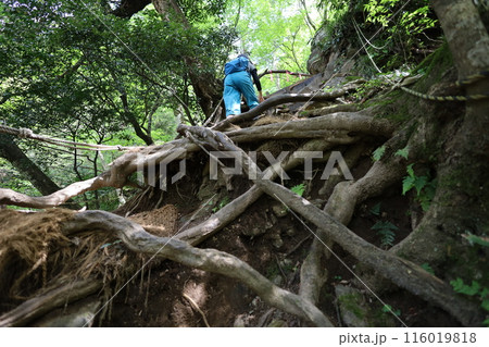 山陰、春、初夏の鳥取、三徳山、みとくさん、投げ入れ堂への登山、国立公園への旅、多くの指定文化財と国宝 116019818