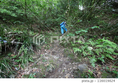 山陰、春、初夏の鳥取、三徳山、みとくさん、投げ入れ堂への登山、国立公園への旅、多くの指定文化財と国宝 116019824