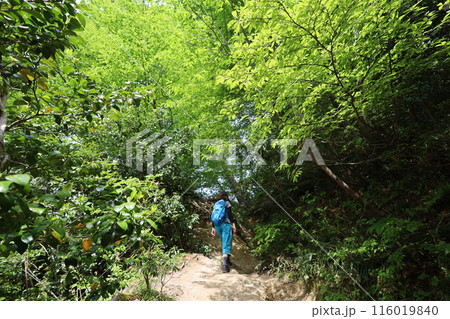 山陰、春、初夏の鳥取、三徳山、みとくさん、投げ入れ堂への登山、国立公園への旅、多くの指定文化財と国宝 山陰、春、初夏の鳥取、三徳山、みとくさん、投げ入れ堂への登山、国立公園への旅、多くの指定文化財と国宝 116019840