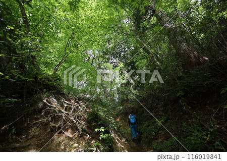 山陰、春、初夏の鳥取、三徳山、みとくさん、投げ入れ堂への登山、国立公園への旅、多くの指定文化財と国宝 山陰、春、初夏の鳥取、三徳山、みとくさん、投げ入れ堂への登山、国立公園への旅、多くの指定文化財と国宝 116019841
