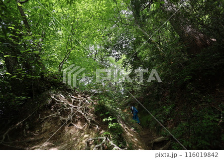 山陰、春、初夏の鳥取、三徳山、みとくさん、投げ入れ堂への登山、国立公園への旅、多くの指定文化財と国宝 山陰、春、初夏の鳥取、三徳山、みとくさん、投げ入れ堂への登山、国立公園への旅、多くの指定文化財と国宝 116019842