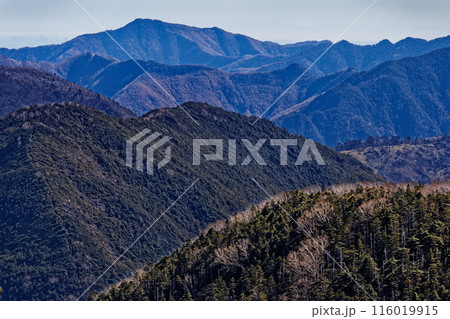 甲武信岳山頂から見る奥秩父主稜線と雲取山 116019915