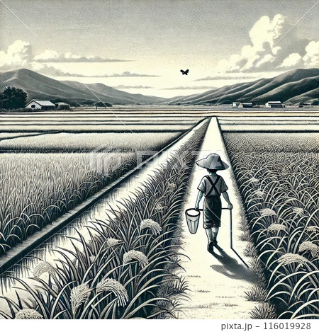 田んぼ 田んぼ 116019928