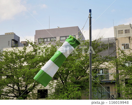 吹き流し 116019948