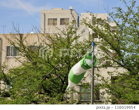 吹き流し 116019954