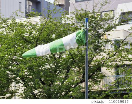 吹き流し 116019955