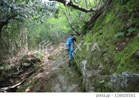 山陰、春、初夏の鳥取、三徳山、みとくさん、投げ入れ堂への登山、国立公園への旅、多くの指定文化財と国宝 116020101