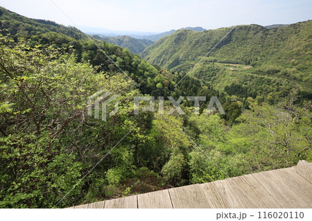 山陰、春、初夏の鳥取、三徳山、みとくさん、投げ入れ堂への登山、国立公園への旅、多くの指定文化財と国宝 山陰、春、初夏の鳥取、三徳山、みとくさん、投げ入れ堂への登山、国立公園への旅、多くの指定文化財と国宝 116020110