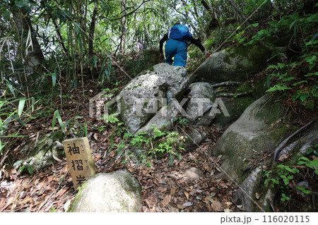 山陰、春、初夏の鳥取、三徳山、みとくさん、投げ入れ堂への登山、国立公園への旅、多くの指定文化財と国宝 山陰、春、初夏の鳥取、三徳山、みとくさん、投げ入れ堂への登山、国立公園への旅、多くの指定文化財と国宝 116020115