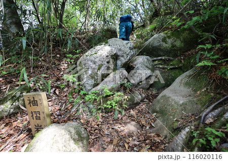 山陰、春、初夏の鳥取、三徳山、みとくさん、投げ入れ堂への登山、国立公園への旅、多くの指定文化財と国宝 山陰、春、初夏の鳥取、三徳山、みとくさん、投げ入れ堂への登山、国立公園への旅、多くの指定文化財と国宝 116020116