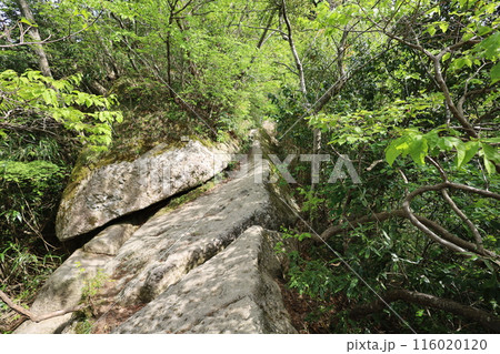 山陰、春、初夏の鳥取、三徳山、みとくさん、投げ入れ堂への登山、国立公園への旅、多くの指定文化財と国宝 山陰、春、初夏の鳥取、三徳山、みとくさん、投げ入れ堂への登山、国立公園への旅、多くの指定文化財と国宝 116020120