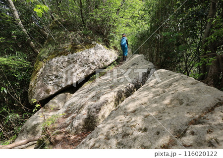 山陰、春、初夏の鳥取、三徳山、みとくさん、投げ入れ堂への登山、国立公園への旅、多くの指定文化財と国宝 山陰、春、初夏の鳥取、三徳山、みとくさん、投げ入れ堂への登山、国立公園への旅、多くの指定文化財と国宝 116020122