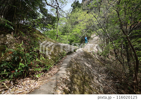 山陰、春、初夏の鳥取、三徳山、みとくさん、投げ入れ堂への登山、国立公園への旅、多くの指定文化財と国宝 山陰、春、初夏の鳥取、三徳山、みとくさん、投げ入れ堂への登山、国立公園への旅、多くの指定文化財と国宝 116020125