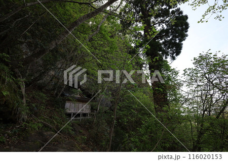 山陰、春、初夏の鳥取、三徳山、みとくさん、投げ入れ堂への登山、国立公園への旅、多くの指定文化財と国宝 山陰、春、初夏の鳥取、三徳山、みとくさん、投げ入れ堂への登山、国立公園への旅、多くの指定文化財と国宝 116020153