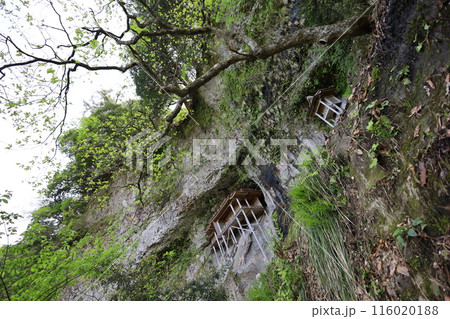 山陰、春、初夏の鳥取、三徳山、みとくさん、投げ入れ堂への登山、国立公園への旅、多くの指定文化財と国宝 116020188