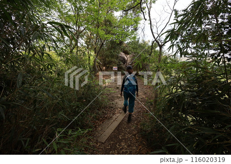 山陰、春、初夏の鳥取、三徳山、みとくさん、投げ入れ堂への登山、国立公園への旅、多くの指定文化財と国宝 山陰、春、初夏の鳥取、三徳山、みとくさん、投げ入れ堂への登山、国立公園への旅、多くの指定文化財と国宝 116020319