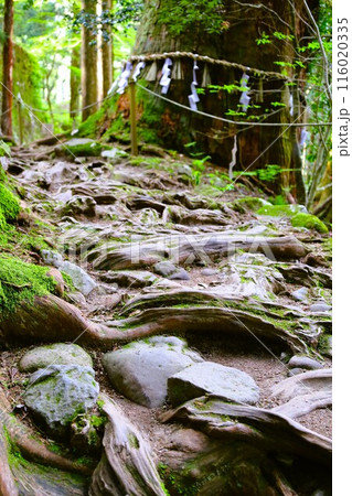 山陰、春、初夏の鳥取、三徳山、みとくさん、投げ入れ堂への登山、国立公園への旅、多くの指定文化財と国宝 山陰、春、初夏の鳥取、三徳山、みとくさん、投げ入れ堂への登山、国立公園への旅、多くの指定文化財と国宝 116020335