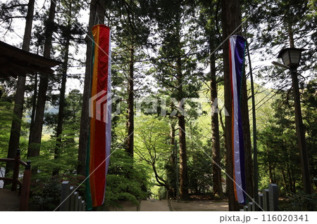 山陰、春、初夏の鳥取、三徳山、みとくさん、投げ入れ堂への登山、国立公園への旅、多くの指定文化財と国宝 山陰、春、初夏の鳥取、三徳山、みとくさん、投げ入れ堂への登山、国立公園への旅、多くの指定文化財と国宝 116020341
