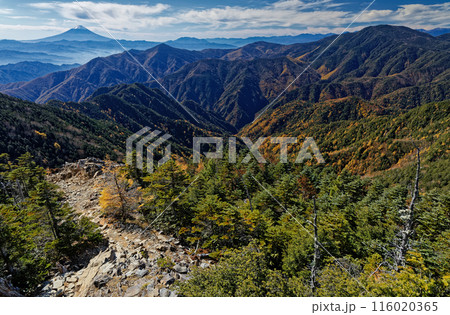 甲武信岳山頂から秋色の国師ヶ岳・黒金山と富士山 116020365