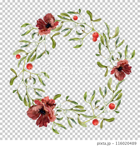 Mistletoe branches leaves berries, poppy anemone flower. Watercolor hand drawn illustration, wreath frame isolated on white. Xmas, happy new year festive, noel navidad. Print paper, textile fabric Mistletoe branches leaves berries, poppy anemone flower. Watercolor hand drawn illustration, wreath frame isolated on white. Xmas, happy new year festive, noel navidad. Print paper, textile fabric 116020489