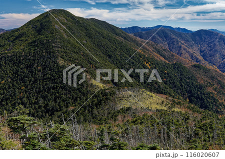 秋色の奥秩父縦走路から見る笹平と破風山 秋色の奥秩父縦走路から見る笹平と破風山 116020607